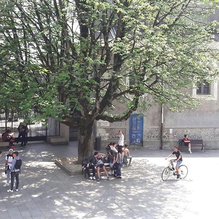 Un Appartement Lumineux Au Parc Beaumont ポー エクステリア 写真